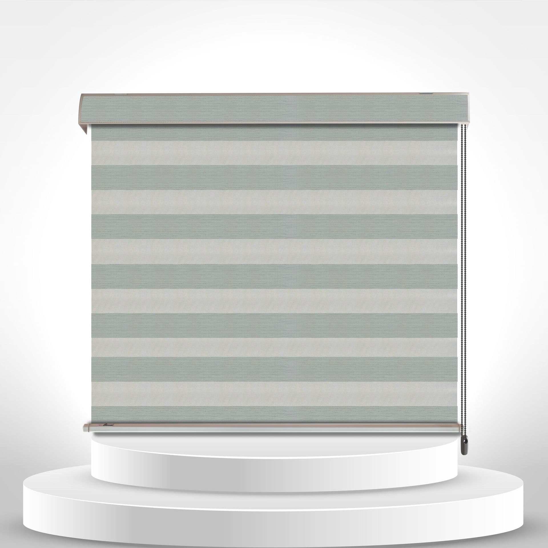Slide 1