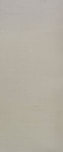 003 Light Brown