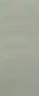 008 Mist