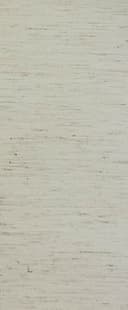 R06S002001